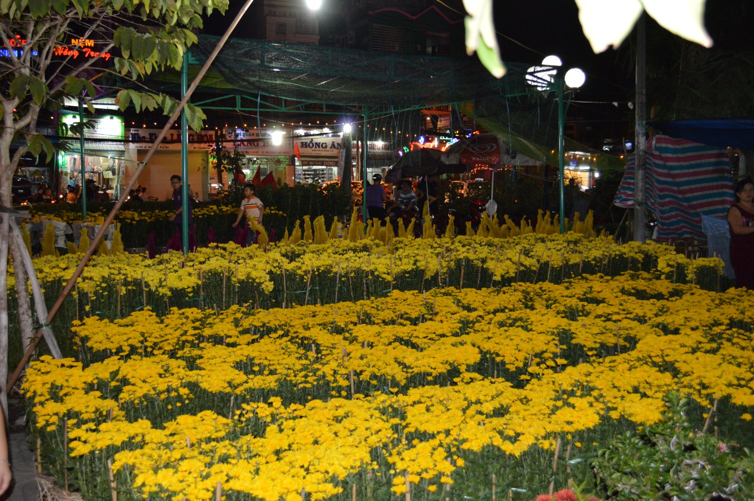 chuyen-hang-tet-o-nha-trang